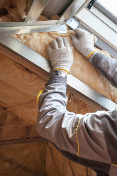 Best DIY Insulation Kits and Guidance in Bethesda, MD